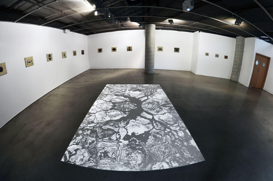 Stoj spokojnie videoinstalacja2014